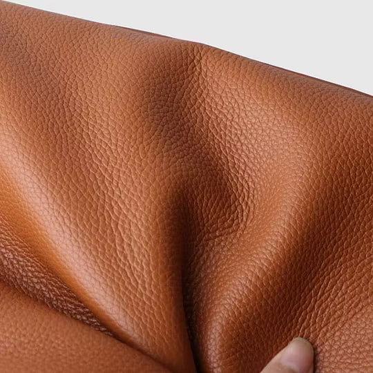 Sac Dina